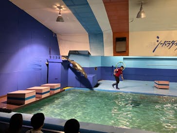 ゼロ距離水族館 伊勢シーパラダイスに投稿された画像（2024/9/8）