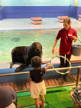 ゼロ距離水族館 伊勢シーパラダイスに投稿された画像（2024/9/8）