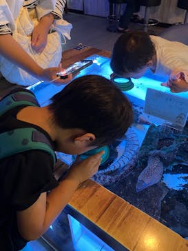 ゼロ距離水族館 伊勢シーパラダイスに投稿された画像（2024/9/8）