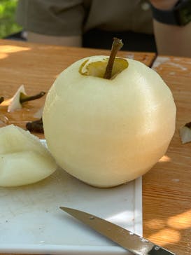 びわこもりやまフルーツランドに投稿された画像（2024/9/8）