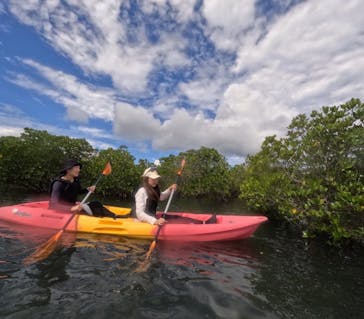 西表島 ADVENTURE PiPi（アドベンチャーピピ）に投稿された画像（2024/9/8）
