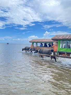 西表島 ADVENTURE PiPi（アドベンチャーピピ）に投稿された画像（2024/9/8）