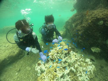 武藤潜水に投稿された画像（2024/9/8）