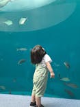 四国水族館に投稿された画像（2024/9/8）