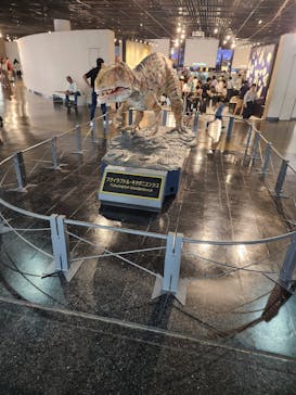 福井県立恐竜博物館に投稿された画像（2024/9/8）