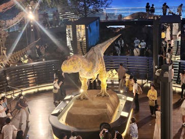 福井県立恐竜博物館に投稿された画像（2024/9/8）