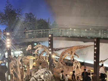 福井県立恐竜博物館に投稿された画像（2024/9/8）