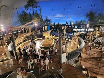 福井県立恐竜博物館に投稿された画像（2024/9/8）