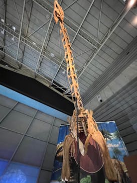 巨大恐竜展2024に投稿された画像（2024/9/8）