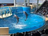 新江ノ島水族館に投稿された画像（2024/9/8）