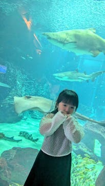 マリンワールド海の中道に投稿された画像（2024/9/8）