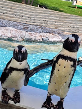 マリンワールド海の中道に投稿された画像（2024/9/8）