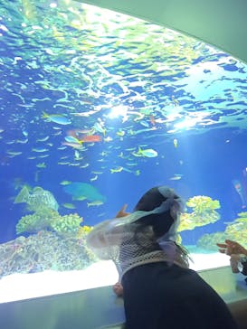 マリンワールド海の中道に投稿された画像（2024/9/8）