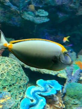 サンシャイン水族館に投稿された画像（2024/9/8）