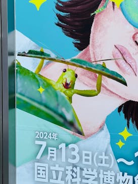 特別展「昆虫 MANIAC」（国立科学博物館）に投稿された画像（2024/9/8）