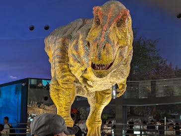 福井県立恐竜博物館に投稿された画像（2024/9/8）