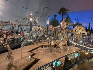 福井県立恐竜博物館に投稿された画像（2024/9/8）