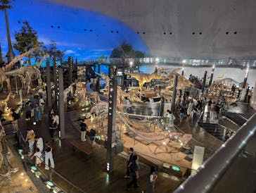 福井県立恐竜博物館に投稿された画像（2024/9/8）