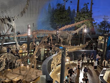 福井県立恐竜博物館に投稿された画像（2024/9/8）