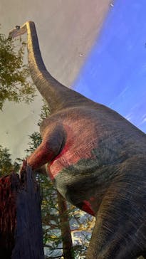 福井県立恐竜博物館に投稿された画像（2024/9/8）