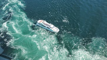 徳島県立 渦の道に投稿された画像（2024/9/8）