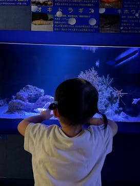 竹島水族館に投稿された画像（2024/9/8）