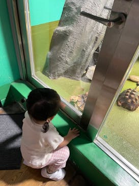 竹島水族館に投稿された画像（2024/9/8）