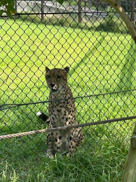 千葉市動物公園に投稿された画像（2024/9/8）