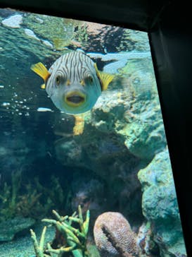 サンシャイン水族館に投稿された画像（2024/9/8）