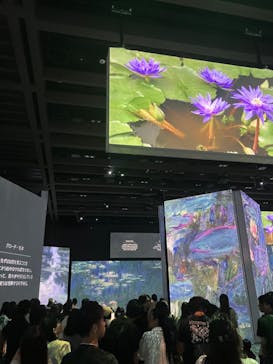 モネ＆フレンズ・アライブに投稿された画像（2024/9/8）