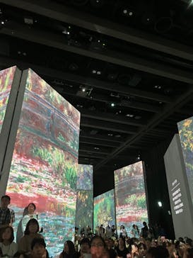 モネ＆フレンズ・アライブに投稿された画像（2024/9/8）