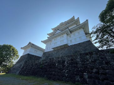 小田原城に投稿された画像（2024/9/8）