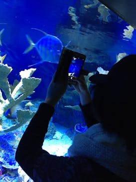 サンシャイン水族館に投稿された画像（2024/9/8）