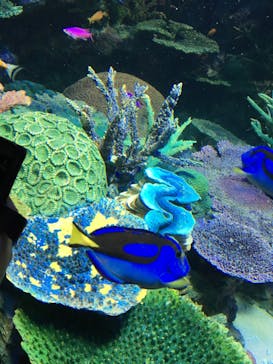 サンシャイン水族館に投稿された画像（2024/9/8）