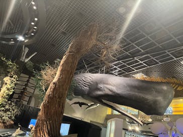 国立科学博物館に投稿された画像（2024/9/8）