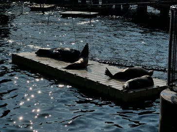 伊豆・三津シーパラダイスに投稿された画像（2024/9/8）