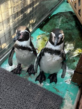 伊豆・三津シーパラダイスに投稿された画像（2024/9/8）