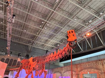 巨大恐竜展2024に投稿された画像（2024/9/8）