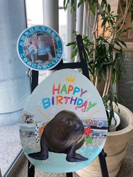 大分マリーンパレス水族館 「うみたまご」に投稿された画像（2024/9/8）