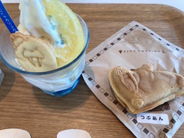 大分マリーンパレス水族館 「うみたまご」に投稿された画像（2024/9/8）