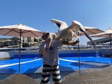 大分マリーンパレス水族館 「うみたまご」に投稿された画像（2024/9/8）