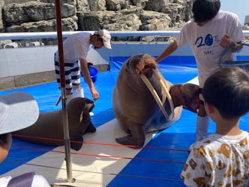 大分マリーンパレス水族館 「うみたまご」に投稿された画像（2024/9/8）