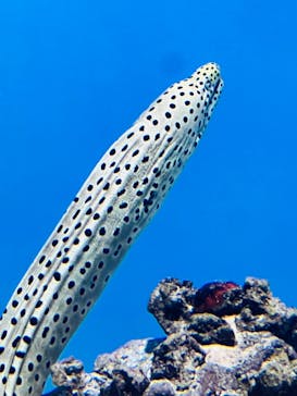 葛西臨海水族園に投稿された画像（2024/9/8）