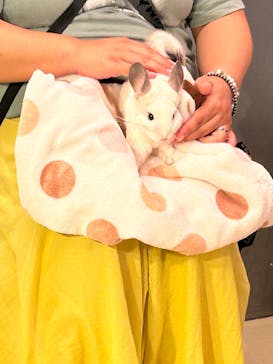 Moff animal cafe イオンモール幕張新都心店に投稿された画像（2024/9/8）