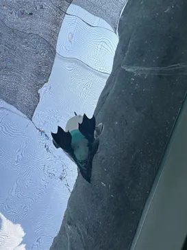 天王寺動物園に投稿された画像（2024/9/8）