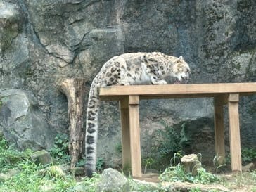 多摩動物公園に投稿された画像（2024/9/8）