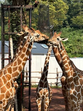 多摩動物公園に投稿された画像（2024/9/8）
