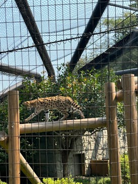 多摩動物公園に投稿された画像（2024/9/8）