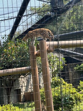 多摩動物公園に投稿された画像（2024/9/8）