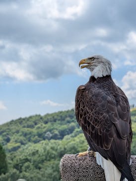 那須どうぶつ王国に投稿された画像（2024/9/8）